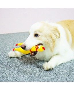 perro mordiendo un juguete de goma en forma de pollo