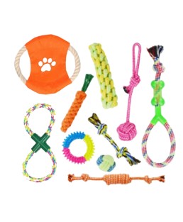 Kit de juguetes para perro