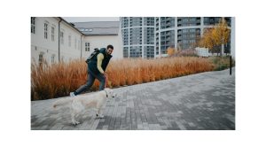 hombre paseando a un perro